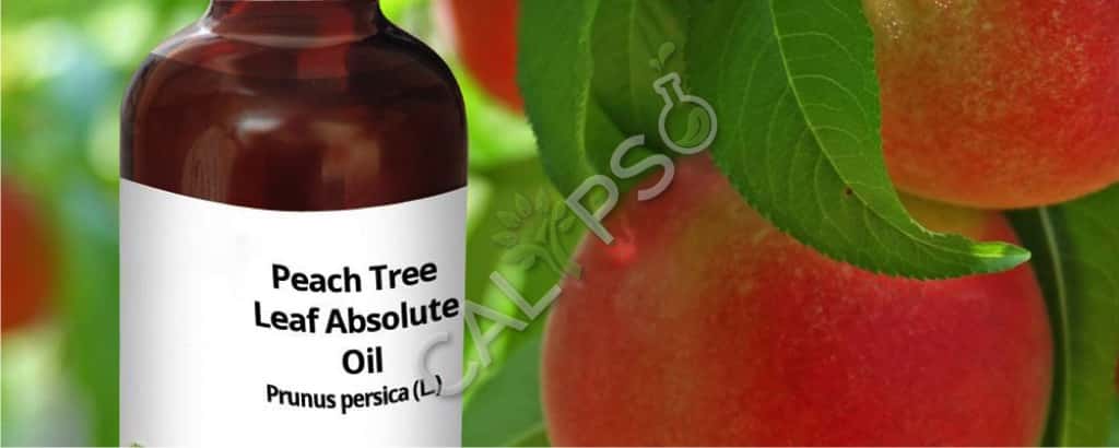 Peach Tree Leaf Absolute Oil Benefits